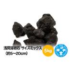 生き物 浅間溶岩石 サイズミックス 約5~20cm 5kg