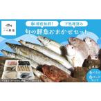 旬の鮮魚等 鮮度抜群 お魚おまかせ食べきり6パック