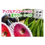 ふるさと納税 マンゴー 沖縄県 糸満市 先行予約 2025年 発送 沖縄産 アップルマンゴー (1〜2玉)& 夏野菜 (3〜5種) 詰め合わせ 沖縄 野菜 フルーツ 果物 …
