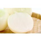 fu.... налог овощи вид шар лук порей Shimane . рисовое поле город . рисовое поле производство новый лук 10kg предшествующий предварительный заказ овощи лук новый шар лук порей шар лук порей лук репчатый tama лук-батун новый Tama 10kg......... немного ....