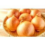 fu.... налог овощи вид шар лук порей Shimane . рисовое поле город . рисовое поле производство рука ... лук 10kg предшествующий предварительный заказ овощи рука полировальный шар лук порей лук шар лук порей лук репчатый tama лук-батун 10kg высокое качество . прекрасный тест ......