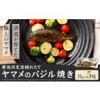 川魚 菊池川支流採れたて ヤマメのバジル焼き 75g×5尾