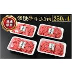 ふるさと納税 牛肉 茨城県 守谷市  常陸牛 牛ひき肉 250g×4 合計1kg 牛肉 お肉 挽肉 ひき肉 4パック ハンバーグ メンチカツ