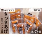 かまぼこ 練り製品 さつまあげ a166-02