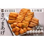 かまぼこ 練り製品 さつまあげ a430-02
