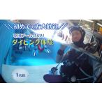 体験チケット ダイビング体験 1名