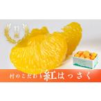 みかん 柑橘類 八朔 紅八朔 村のこだわり 紅はっさく 約3kg