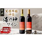 ワイン 赤ワイン 天孫降臨神話 海の神 ワイン2本セット