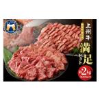 牛肉 焼肉 バーベキュー カルビ ロース 満足セット