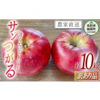 ふるさと納税 りんご 長野県 飯綱町 りんご サンつがる 訳あり 10kg 令和8年度収穫分 沖縄県への配送不可 2026年9月上旬頃から2026年9月中旬頃まで順次発送予…