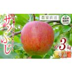ふるさと納税 りんご 長野県 飯綱町 りんご サンふじ 秀 3kg 令和7年度収穫分 沖縄県への配送不可 2025年12月上旬頃から2025年12月下旬頃まで順次発送予定 宮…