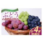 ぶどう マスカット おまかせ 4品種 食べ比べ
