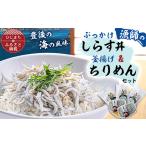魚貝類 しらす 豊後の海の風味 口いっぱいに広がる新鮮な味…