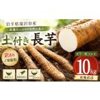 人参 大根 他根菜 2026年 変色しない 訳あり