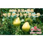 ふるさと納税 梨 山形県 山形市 大玉の洋梨 マリゲットマリーラ 秀品 約5kg(7玉〜12玉) 令和7年産先行予約 FU23-005 くだもの 果物 フルーツ 山形 山形県 山形…
