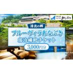 宿泊券 ホテル ブルーヴィラあなぶき 宿泊補助チケット 300…