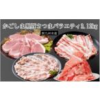 豚肉 ステーキ 産かごしま黒豚さつまバラエティ 3.12kg