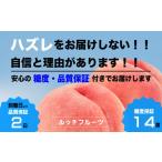 ふるさと納税 もも 山梨県 笛吹市 全玉糖度14度保証付 一宮の桃 7〜12玉 約3kg 2025年発送 数量限定 旬の美味しいフルーツだけをお届けします ルッチ Rucci …