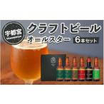 奥日光天然水仕込み 日光いろはビール 6本セット