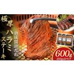 ふるさと納税 牛肉 焼肉・バーベキュー 岩手県 北上市 プレミアム極厚ハラミステーキ 熟成醤油だれ 600g(K2-026) 牛ハラミ 牛カルビ 小分け 焼肉 鉄板焼き た…