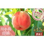 ふるさと納税 もも 青森県 南部町  先行予約 訳あり もぎたて発送 川中島白桃 約4.5kg (10〜18個) 誠果園 家庭用 規格外 わけあり ワケアリ 訳アリ 白桃 桃 も…