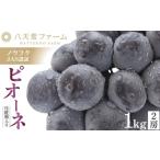 八天堂ぶどう園 ピオーネ 2房 1kg