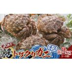 ふるさと納税 青森県 平内町 《訳あり》青森県 陸奥湾産 活トゲクリガニ(オス) 約2kg (5〜6杯) 【白砂活貝組 琉宝丸】 漁師直送 かに カニ 蟹 魚介 青森 青森…