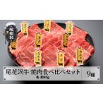 ふるさと納税 山形県 尾花沢市  焼肉食べ比べセット 【最大3ヶ月待ち】 尾花沢牛 A4-5 9種 約3〜4人前 牛肉 黒毛和牛 国産 nj-og9ys