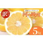 ショッピングふるさと納税 訳あり 傷 ふるさと納税 愛媛県 愛南町 木成り 追熟 訳あり 河内晩柑 約7kg 柑橘 フルーツ 果物 蜜柑 みかん 家庭用 傷 不揃い 農園 直送 エニシトラス 愛媛県 愛南町 発…