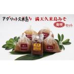 味噌 米味噌 アグリット久米島 満天久米島みそセット