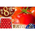 リサフルーツトマト 約2kg