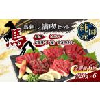 馬肉 定期便 6ヶ月 熊本の味 純 馬刺し 満喫