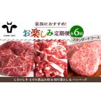 ふるさと納税 牛肉 ハンバーグ 佐賀県 白石町  牧場直送 6回定期便 しろいし牛 家族向け お楽しみ 定期便（スタンダードコース） 佐賀セントラル牧場 佐賀県産…
