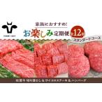 ふるさと納税 牛肉 ハンバーグ 佐賀県 白石町  牧場直送 12回定期便 佐賀牛 少人数 家族向け お楽しみ 定期便 佐賀セントラル牧場 佐賀県産 牛肉 お肉 肉 切り…