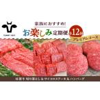 牛肉 ハンバーグ 牧場直送 12回定期便 佐賀牛