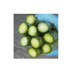 fu.... налог овощи вид спаржа Hokkaido . хорошо . город 2026 год отправка . хорошо . производство . земля культивирование зеленый спаржа (2L размер ) 1kg 1401812