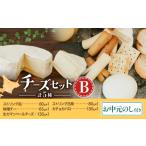 加工品等 おのし付き チーズセットB 計5種