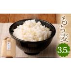 加工品等 もち麦 3.5kg