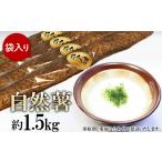 人参 大根 他根菜 自然薯 約1.5kg