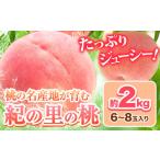 ふるさと納税 もも 和歌山県 岩出市 桃 もも 和歌山県産 約2kg 《2025年6月中旬-8月中旬頃出荷》 紀の里の桃 送料無料 6〜8玉入り 旬の桃を厳選 モモ 果物 フ…