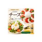 加工品等 チーズ フレッシュチーズ 2種