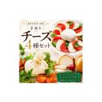 加工品等 チーズ 4種