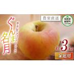 ふるさと納税 りんご 長野県 飯綱町 りんご いいづな産 ぐんま名月 家庭用 3kg 大友農場 エコファーマー認定 沖縄県への配送不可 2025年11月上旬頃から2025年1…