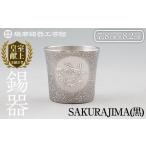 伝統技術 D5-027 薩摩錫器 桜島タンブラー