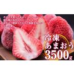 ふるさと納税 いちご 福岡県 須恵町 福岡県産 冷凍 いちご あまおう 3.5kg TY006-1