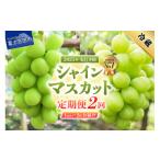 ショッピングふるさと納税 定期便 ふるさと納税 山梨県 富士吉田市 【 2024年 先行予約 】【 2回 定期便 】ジューシー で 甘さ 抜群 厳選 シャインマスカット 1kg × 2回配送 山梨県産 シャイン…