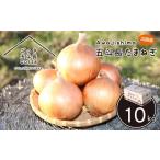 ふるさと納税 野菜類 玉ねぎ 兵庫県 淡路市 五斗長たまねぎ 10kg 淡路島産玉ねぎ 10kg