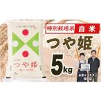 ふるさと納税 米 つや