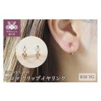 アクセサリー 甲府ジュエリー アロマ K10YG