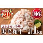 ふるさと納税 牛肉 ホルモン 鹿児島県 日置市 No.1001-02 黒毛和牛上ホルモン(計1kg) 寄附額改定 カミチク 黒毛和牛上ホルモン(計1kg)